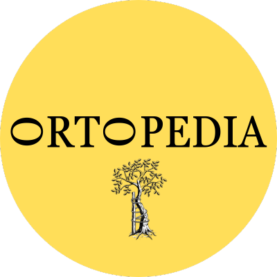 logo ortopedia