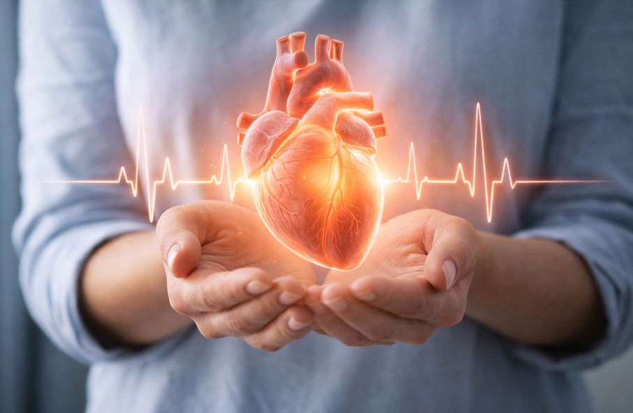 Cuida tu salud cardiovascular y corazón más allá del colesterol - Farmacia El Pez